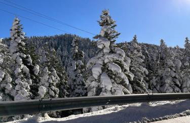 Elati Mansion - Foto 4