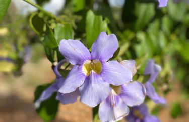 Residenza Anima Mediterranea - Foto 23