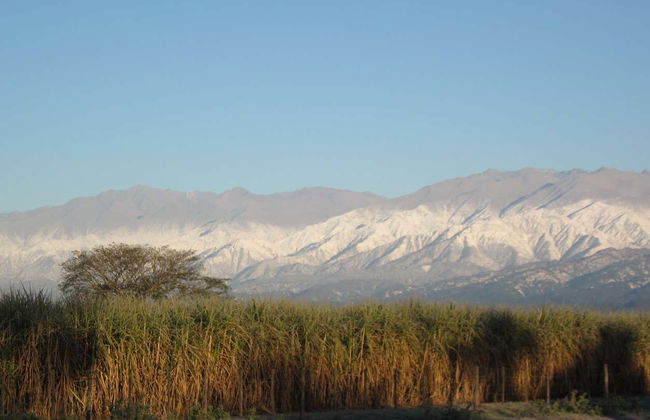 Excursión a Tafí del Valle y ruinas de Quilmes + Visita a una bodega - Foto 8