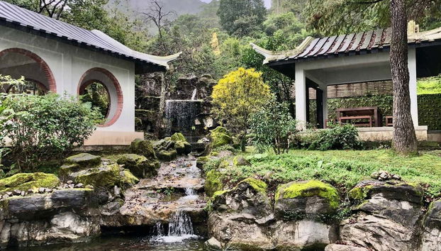 Musée du thé de Pinglin