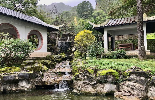 Tour do chá por Pinglin e Maokong - Foto 5