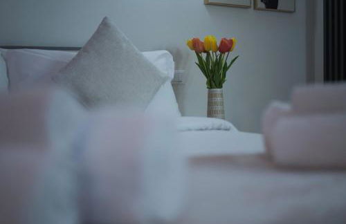 Bruno Domus Colosseo - Photo 11