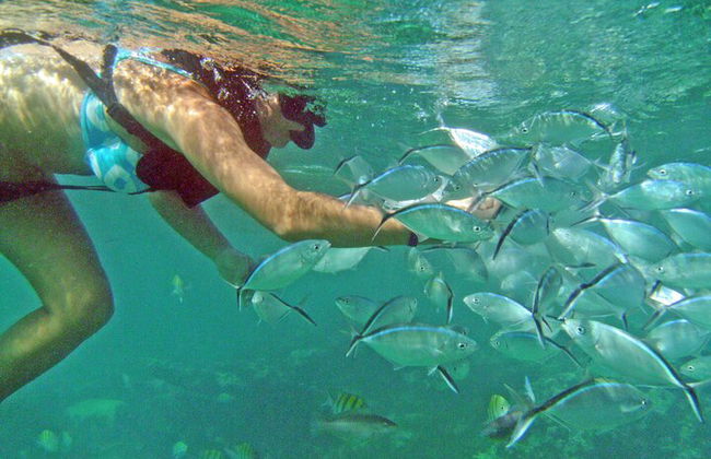 Katamaran-Kreuzfahrt nach Bahia de las Aguilas - Foto 23