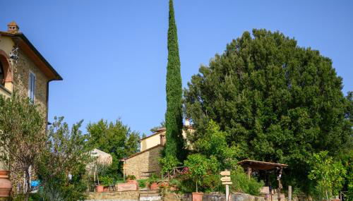 Agriturismo Borgo Sant'Ercolano - Foto 4, Garden view