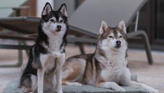 Egerner Chalet - Foto 2