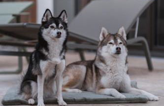 Egerner Chalet - Foto 2