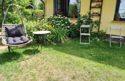 FeWo "Arte" am Wandlitzsee - Foto 9