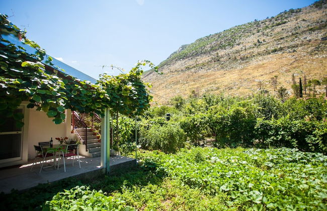 House With Large Garden, Right Next to the River - Foto 28