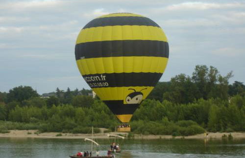 Les Bords de Loire - Foto 11