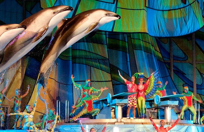 Tour in San Antonio - Photo 1