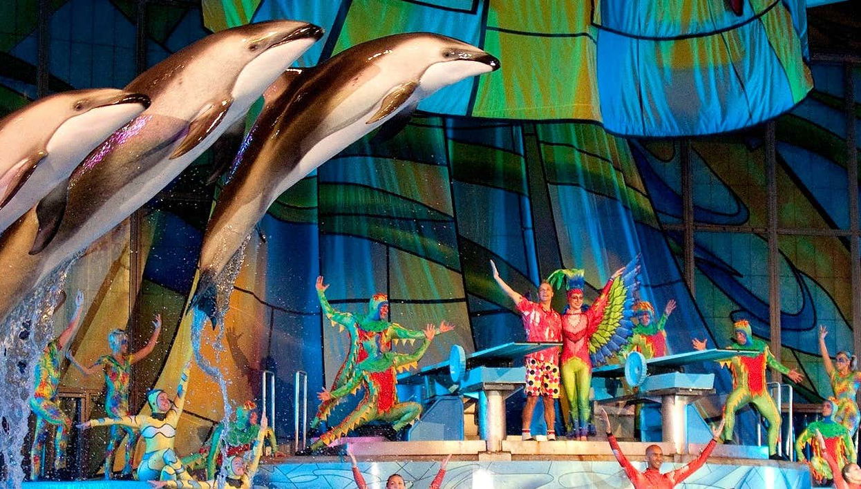 Tour in San Antonio - Photo 1