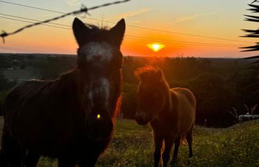 Pousada Fazendinha Beach Club Arraial do Cabo - Photo 68