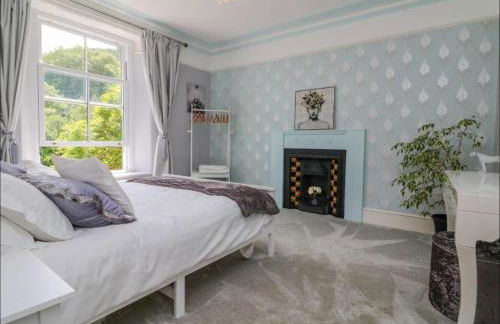 Where Families Reconnect And Dogs Truly Belong - Foto 24