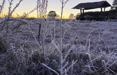 Fazenda Rodeio Bonito - Photo 5