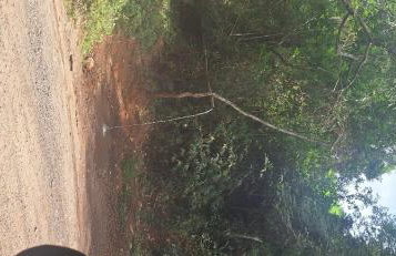 Chácara Vista do Paraíso- Igaratá - Foto 8