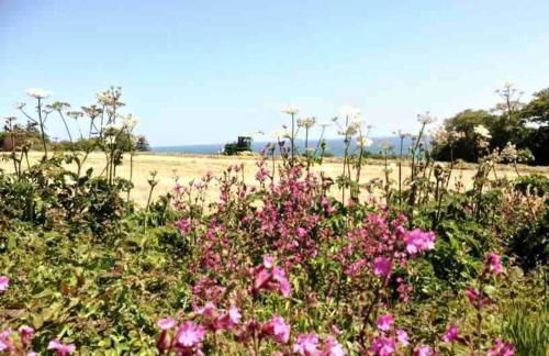 Bream Loft, dog friendly, wood burner, walking distance to beach - Foto 27