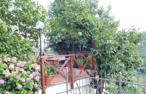 Foglie di Quercia - Foto 11