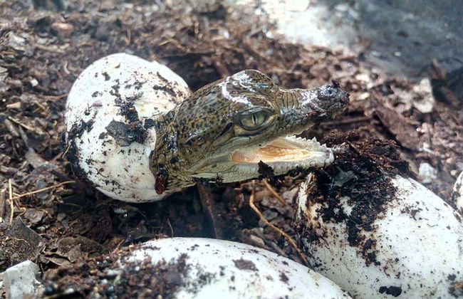 Tour di 2 giorni al centro Wotoch Aayin - Foto 3