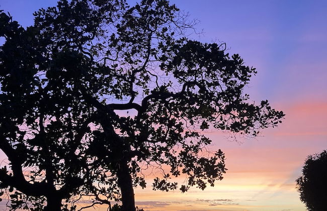 La Maracuyá - Photo 43