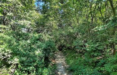 Casa Nonna Antonietta - Foto 39