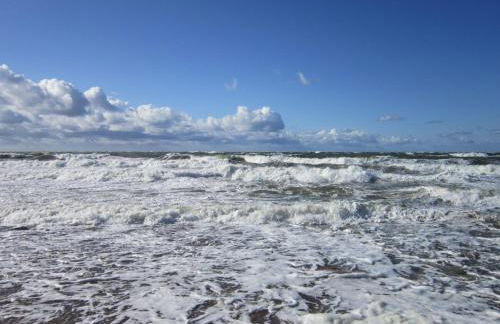 Fewo-Hiddenseeblick - Photo 27