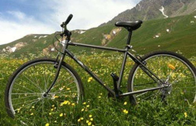 House Typical Of The Susa Valley - Photo 70