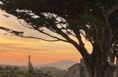 Charming coastal cottage - pet friendly! - Photo 27