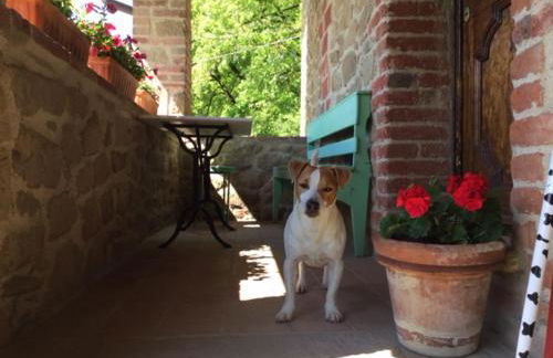 La Berchiera - Foto 18