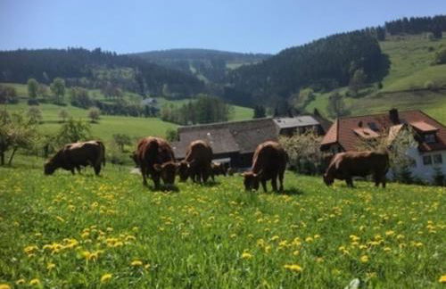 Ferienwohnungen Maierhof Oberried - Foto 62
