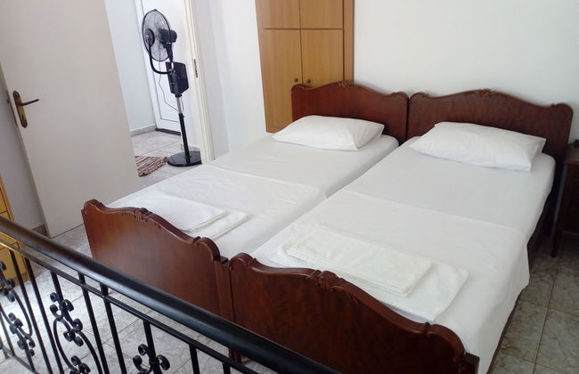 Garden Of Olive Trees - Photo 4