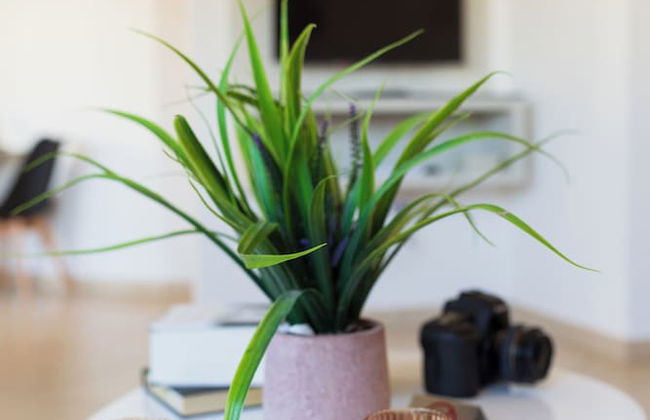 Artemis Cynthia Complex - Foto 28