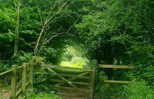 Edwardian Cottage in beautiful surroundings with hot tub - Foto 27