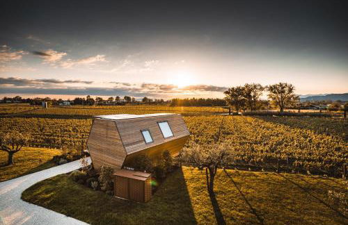 Glamping Alvearium Alturis - Foto 64