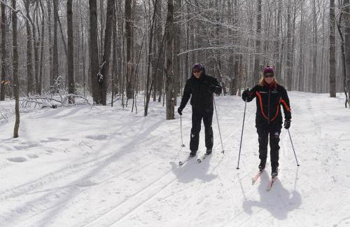 Vantage Point Villas at Stratton Mountain Resort - Foto 19