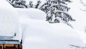 Meribel Altitude1600 chalet 6 personnes en pleine nature au milieu des pistes - Foto 5