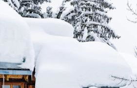 Meribel Altitude1600 chalet 6 personnes en pleine nature au milieu des pistes - Foto 5