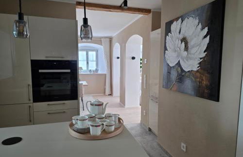 Kavaliershaus Wallerstein, stilvolle Wohnung mit Privatparkplatz - Foto 9