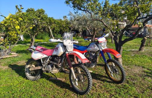 The White Villa - Photo 14