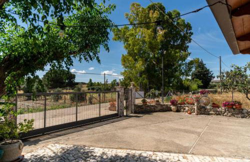 Angelo's Country House - Foto 5