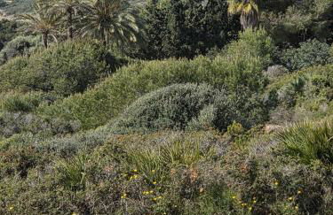 Attico mit Meerblick - Foto 35