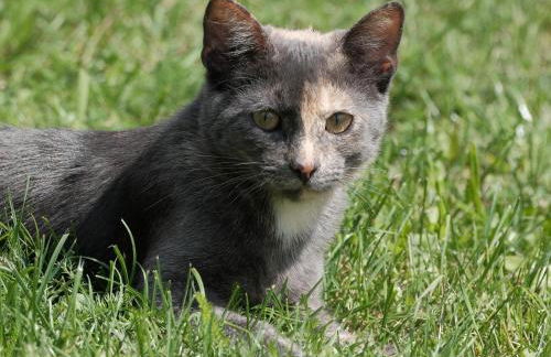 Ferienwohnung Liebelt in Mitgenfeld , bayerische Rhön - Foto 26