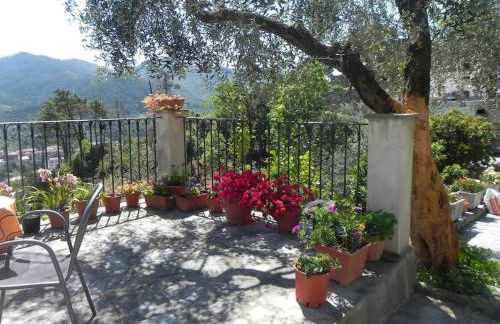 azienda agricola zulin casa elena - Foto 7