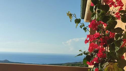 Casa Escondida - Paduledda Isola Rossa - Foto 2