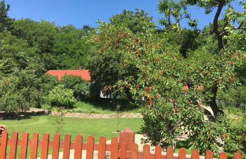 Domek nad Bugiem z Sauną - Foto 37