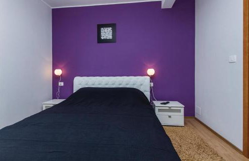 Holiday Home Nedescina 49 - Foto 45