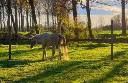 House of Millepini Relax Near Milan - Foto 12