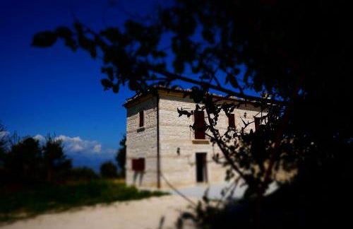 Pezzelelle - Foto 12