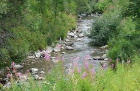 Studio Chinaillon Grand Bornand - Foto 18