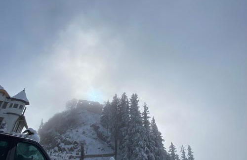 Ferienwohnung Falkensteinblick - Photo 16