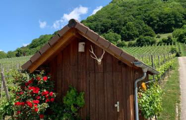 Ferienwohnung Burgblick im Neuffener Tal mit Sauna und Wallbox - Foto 47
